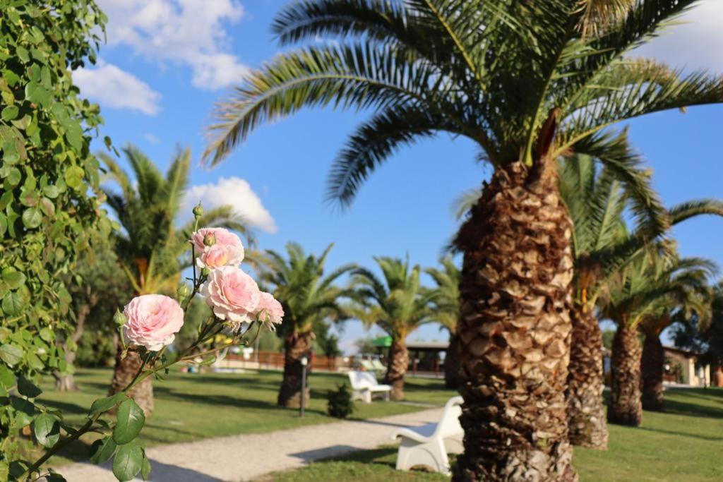 Agriturismo Il Casale Di Monica Rivotorto Εξωτερικό φωτογραφία
