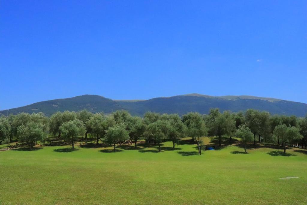 Agriturismo Il Casale Di Monica Rivotorto Εξωτερικό φωτογραφία