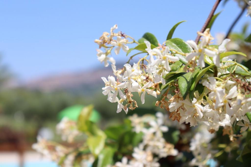 Agriturismo Il Casale Di Monica Rivotorto Εξωτερικό φωτογραφία